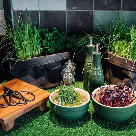 Hotel Vienna House By Wyndham Mq Kronberg im Taunus